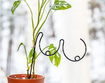 Trellis for Houseplants, Boobies Design, Funny Plant Person Gift