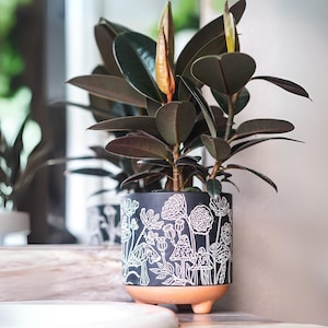 Terrakotta Pilz Pflanzgefäß | Boho Modern Decor Kanne