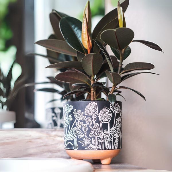 Terrakotta Pilz Pflanzgefäß | Boho Modern Decor Kanne
