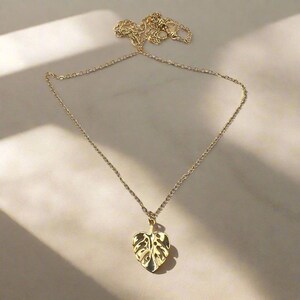 May include: A gold chain necklace with a delicate gold monstera leaf pendant.