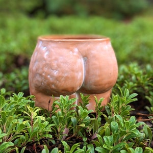 Handgefertigter Butt Planter | 6 Zoll | Terrakotta Kaktus Topf | mit Untertassen | Skandinavisches Wohndekor | Blumentopf für drinnen