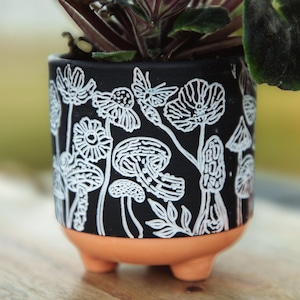 3" Mushroom- Etched Terracotta Clay Pot for Succulents & Houseplants | drainage hole | plant lover gift | cactus planter pot pottery