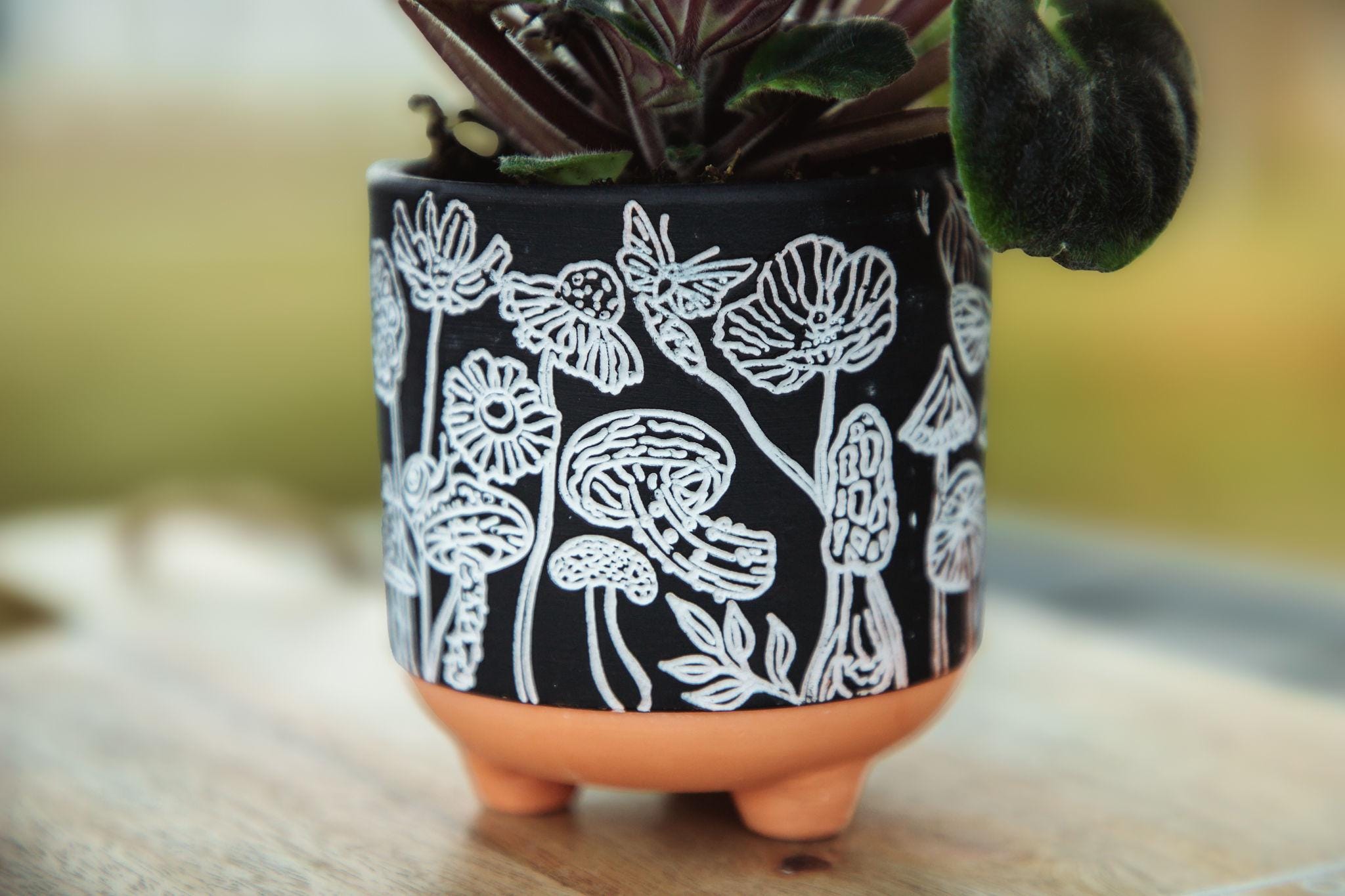 Etched Mushroom Terracotta Planter: 3" Succulent Pot with Drainage