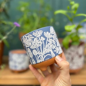 Engraved Mushroom Terracotta Planter: 3" Succulent Pot with Drainage | Bees, Mushrooms