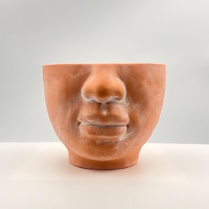 Puede incluir: Una maceta de color terracota con forma de la parte inferior de un rostro humano, que presenta una nariz y labios prominentes. La superficie tiene un acabado mate con un sutil veteado o residuo blanco y nublado en las mejillas, nariz y barbilla.