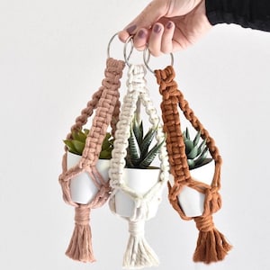 May include: Three macrame plant hangers with white ceramic pots and small green plants. The hangers are made with natural cotton rope in shades of brown, beige, and white. Each hanger has a silver metal ring at the top.