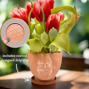 Gesicht Keramik Topf | 5-Zoll-Terrakotta-Blumentopf | Skandinavisch, Boho | Einzigartiges Geschenk | Blumentopf | Abzugsloch und Unterteller