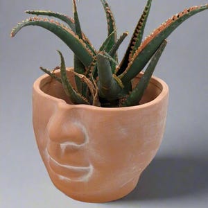 Terracotta Face Planter: 5-inch Boho Flower Pot | Gift for Plant Lover