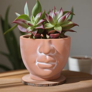 Terracotta Face Planter: 5-inch Boho Flower Pot | Gift for Plant Lover