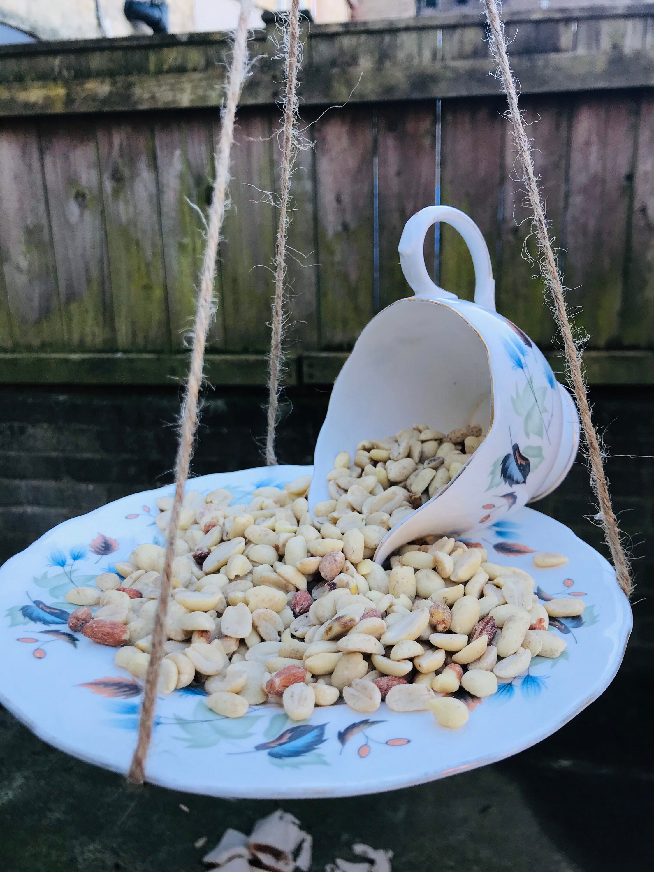Milk Jug Bird Feeder Etsy