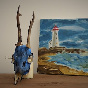 Ocean Roe Deer Painted Skull European Roe deer Antler real animal skull Vikings Home decor Painted Skull carving | Holiday decor
