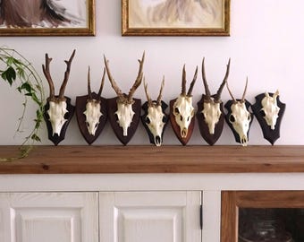 左右対称の大きな鹿の角 - Etsy 日本