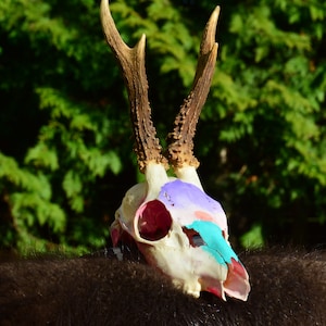 Setting Sun Painted Roe Deer Skull | Mother&#39;s Day Gift Cowgirl European Roe deer real animal skull Vikings Home decor Painted Skull carving