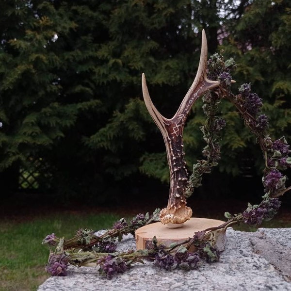 Boho Carved Ring Holder | Roe Deer Ring Holder Carved Antler