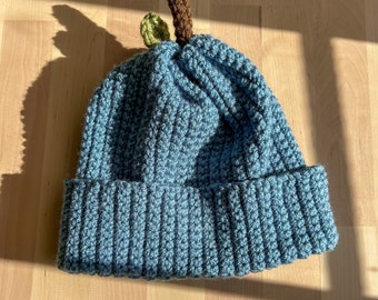Blueberry beanie