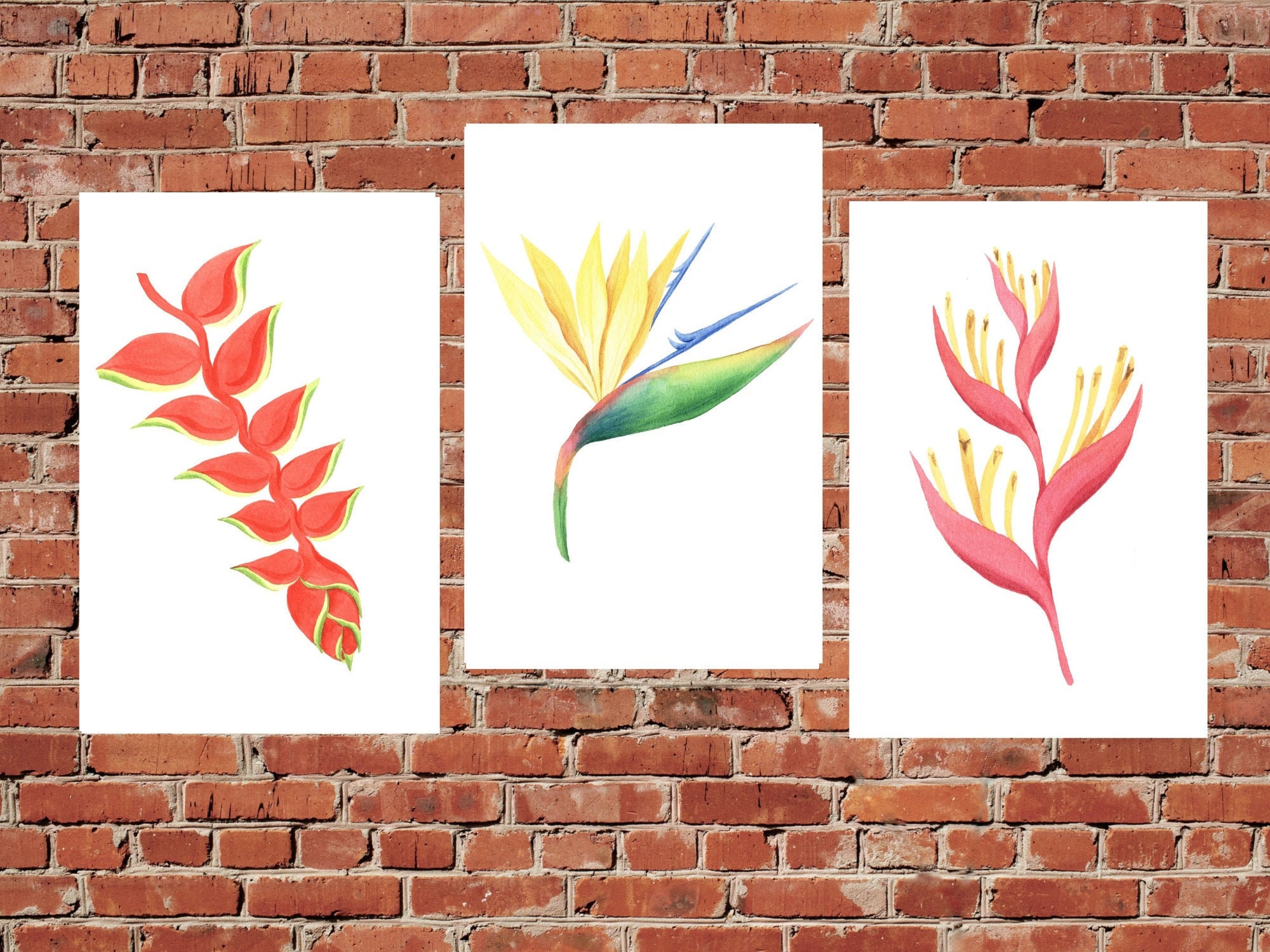 Tropical Flowers Printable Art flower set of 3 Prints Bird Etsy