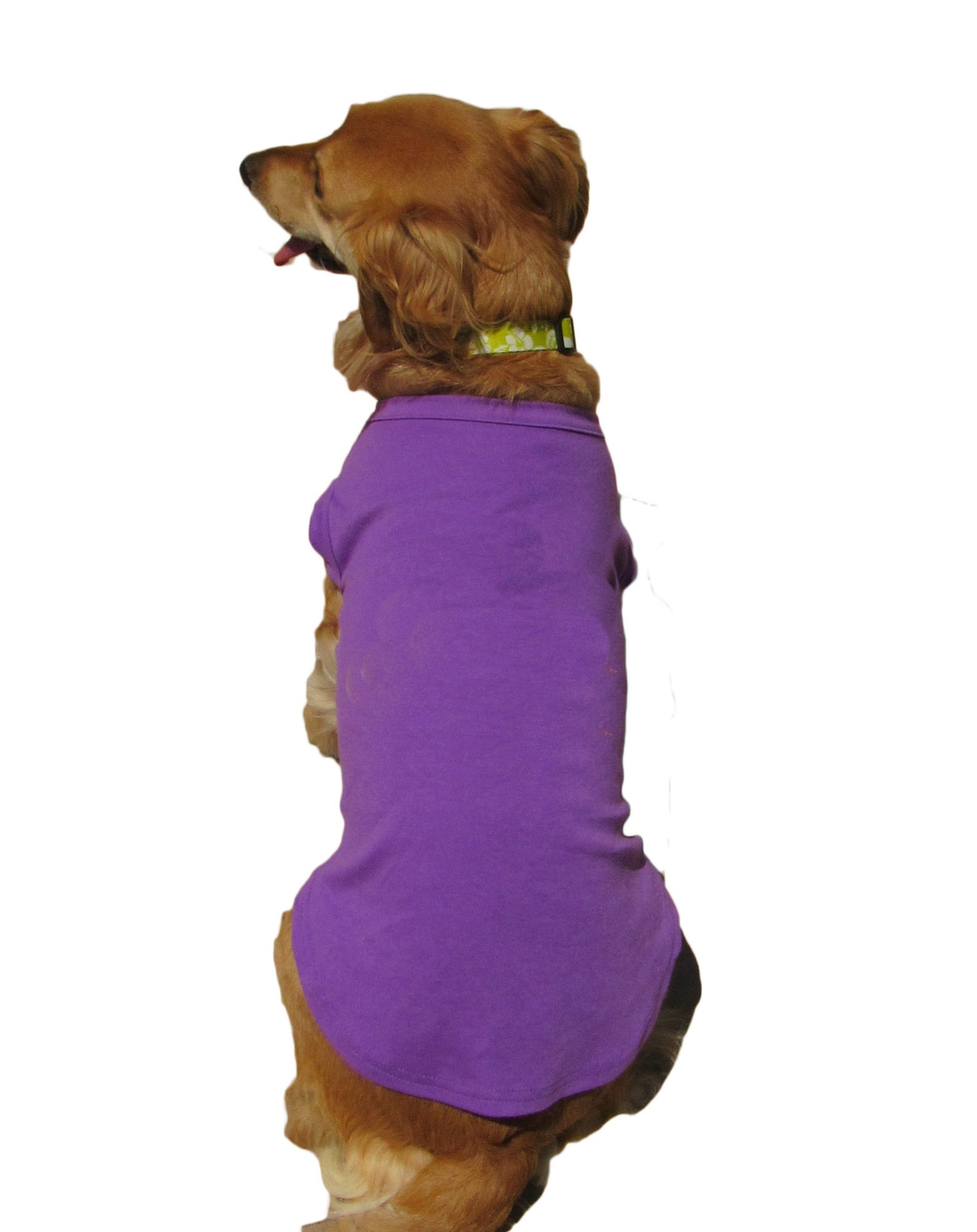 Blank Dog Shirts Perfect for Cricut Ironon Silk Screen Etsy