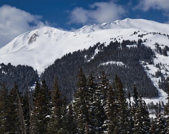 Winter Mountains Photography | Winter Landscape Canvas Art | Winter Forest Print - 0267