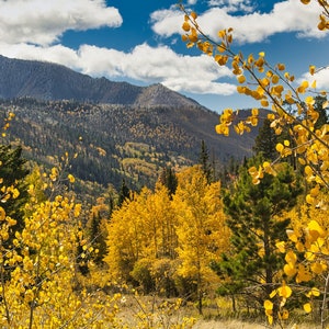 Fall is Here in the Mountains - Colorado Autumn Landscape Photography Print - Mountain Landscape Fine Art Photograph on Canvas - 0179