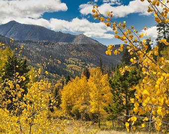 Colorado Autumn Mountain Landscape Print, Fall Colors Aspen Trees Photo, Rocky Mountain Wall Art, Nature Photography, Rustic Decor - 0179