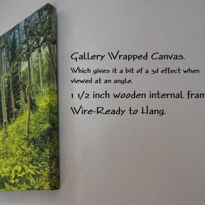 Side view of a gallery wrapped canvas of a forest print hanging on a white wall next to text explaining the product features.
