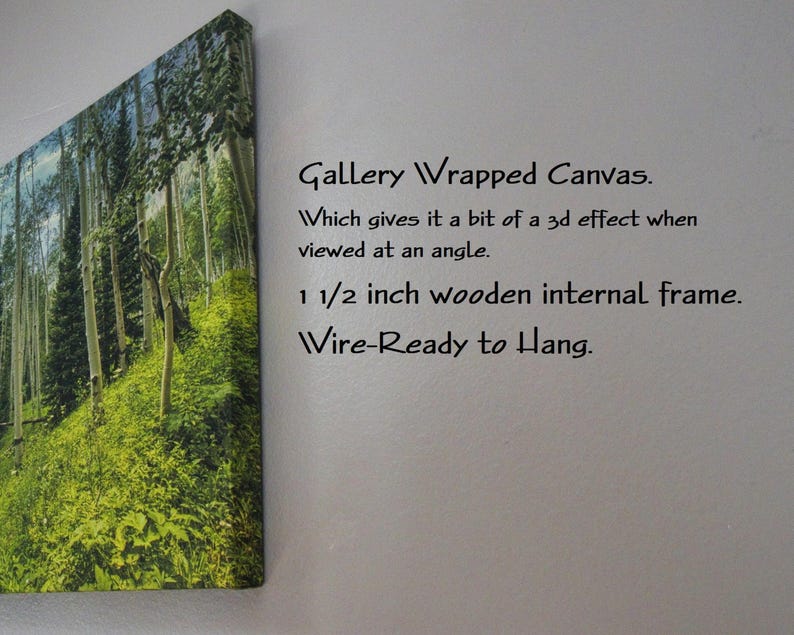 Side view of a gallery wrapped canvas of a forest print hanging on a white wall next to text explaining the product features.