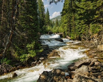 North Fork Crystal River - Mountain Landscape Photo on Canvas - 0240