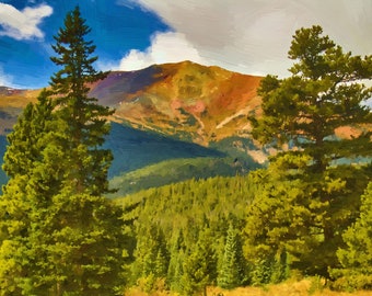 Iron Mountain and Pines - Mountain Landscape Photo on Canvas - 0155p