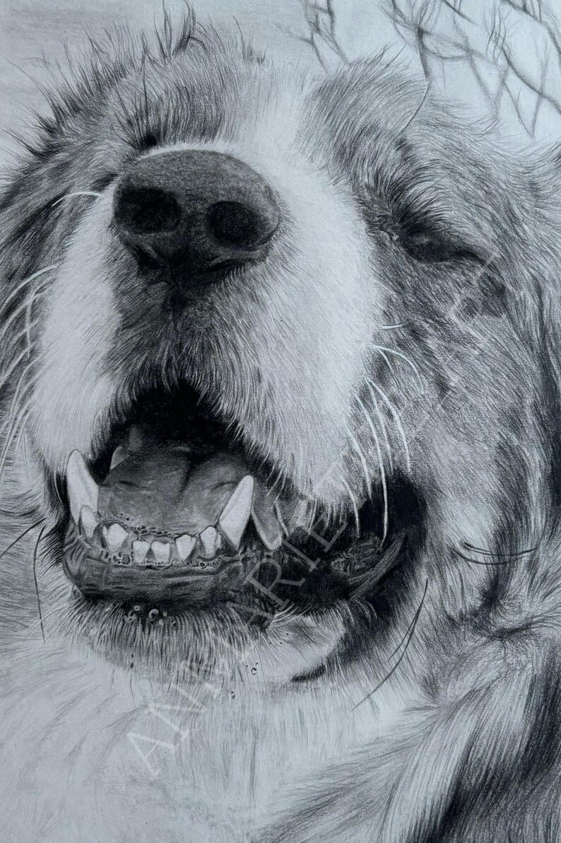 Custom Hand Drawn Portrait - Graphite Drawing From Photo Reference - Etsy