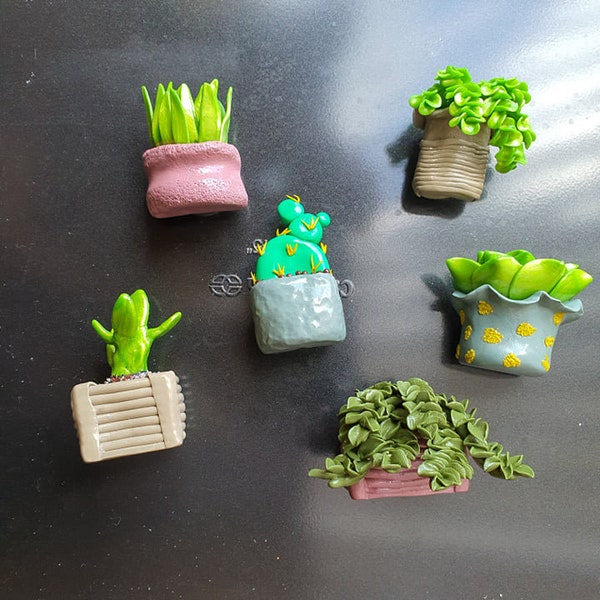 succulent magnets, polymer clay ref magnet, clay succulent, miniature succulent