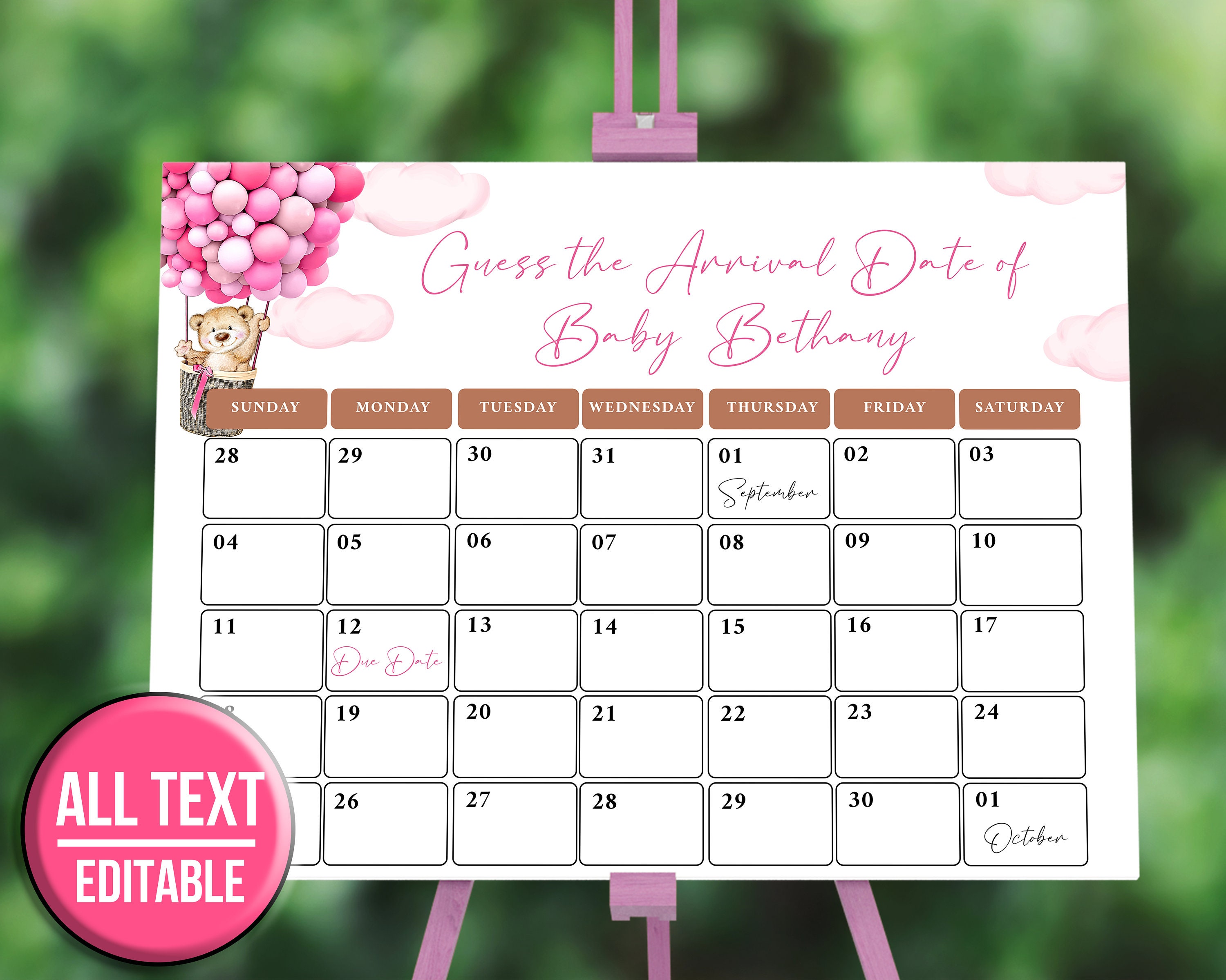 Baby Shower Bundle Girl Printable Baby Shower Pack Editable - Etsy