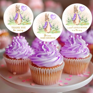 12 Peter Rabbit Party Cupcake Toppers, Peter Rabbit Cake Decor, Easter Party Cake Toppers, Christening Cake Decor,  Birthday Party BS090