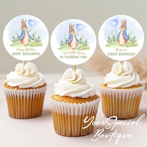 EDITABLE SET Peter Rabbit Cupcake Toppers, Peter Rabbit Theme, Birthday Party, Bunny First Birthday, Cake Toppers, Party Decorations BS098