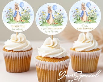May include: Three cupcake toppers featuring a watercolor illustration of Peter Rabbit with a blue balloon. The toppers say "Thank you for coming", "A sweet little bunny is on the way", and "Jenis Baby Shower".