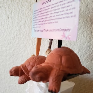 May include: Two terracotta turtle ornaments hanging from a branch. The turtles are brown and have a textured surface. A sign with the text "Etsy.com/shop/TheAromaStoneCompany" is attached to the branch.