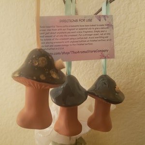 May include: Three terracotta mushroom ornaments with black and gold speckled tops. The ornaments are hanging from a string and have a small tag that reads "DIRECTIONS FOR USE" and includes instructions for using essential oils with the ornaments.