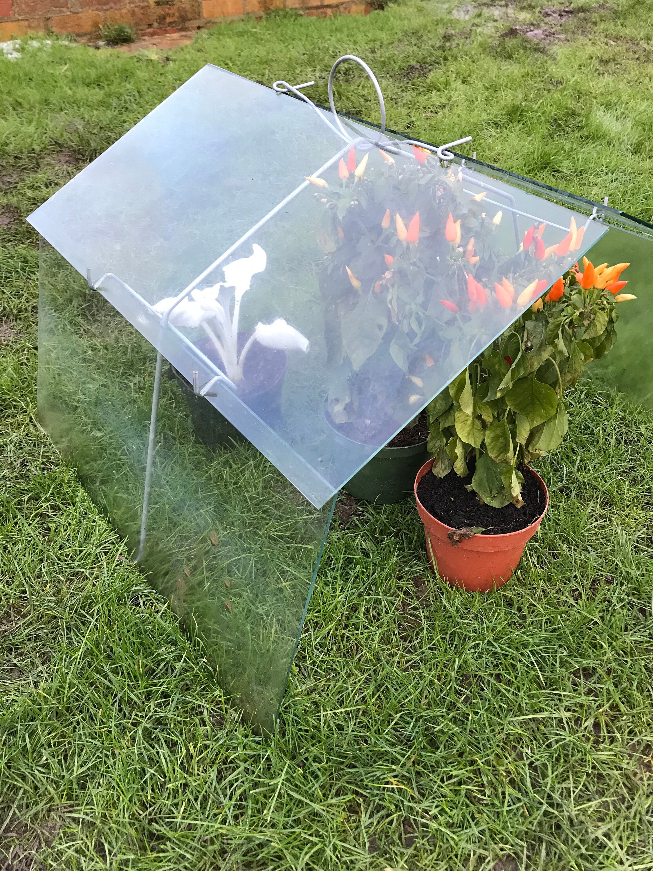 2 Vintage Style Garden Cloche Mini Greenhouse 2 Sets of Wires Etsy UK