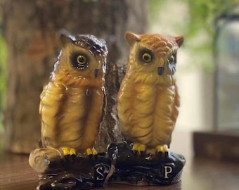 Vintage Owl Salt and Pepper Shaker Set | Hand-Painted Ceramic from Japan