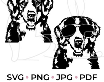 Free Free 111 Bernese Mountain Dog Svg SVG PNG EPS DXF File