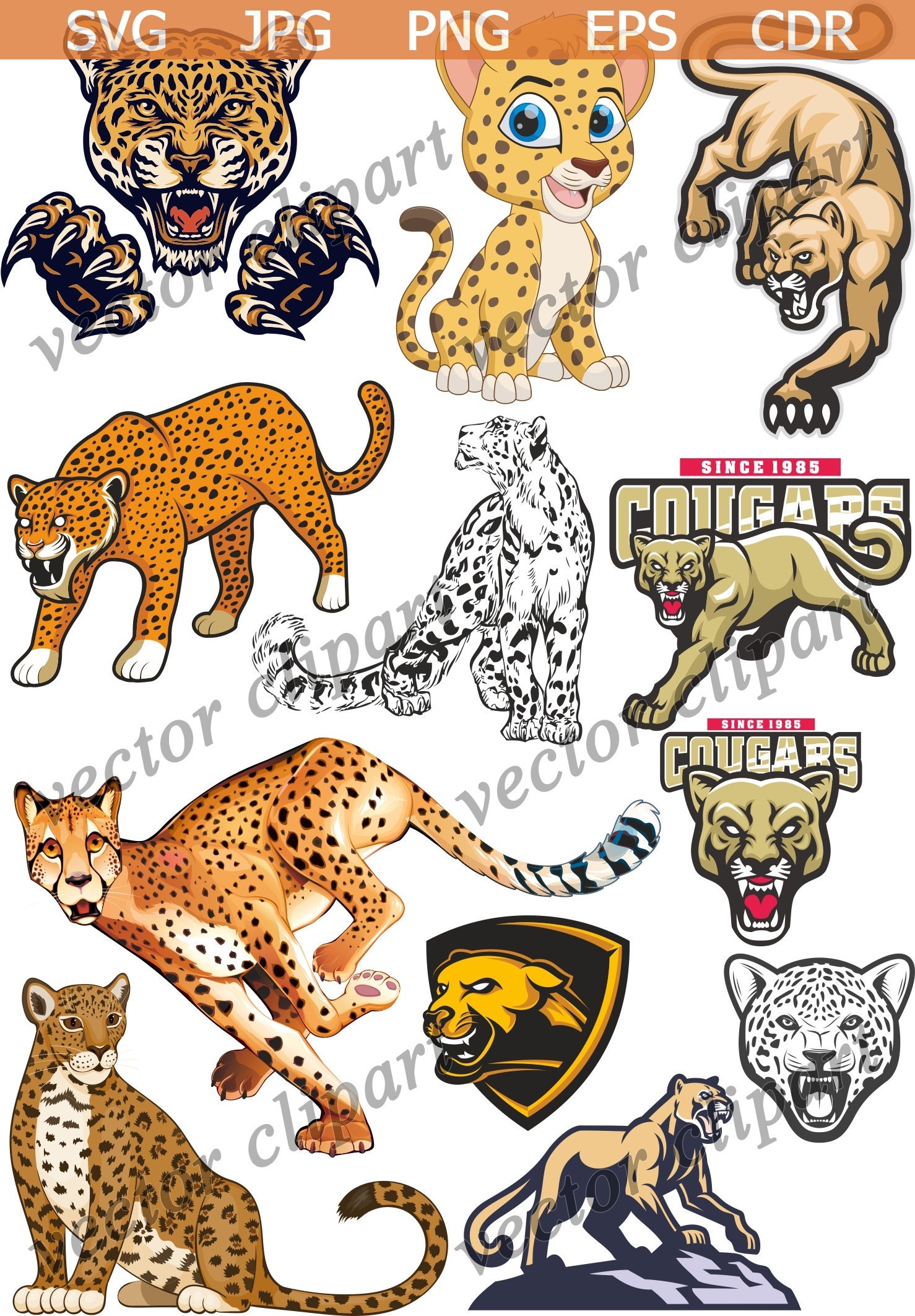 vector x jaguar studs