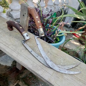 Set of 2 Forged Iron Sickle | Garden Gift |Handmade Wooden Handle Sickle | Gardening Tool | Cutting Grass Plants Tool | Vintage Design Datri