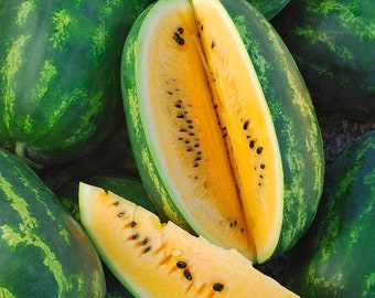 Organic Golden Honey Watermelon Plant (Citrullus Lanatus) Seeds