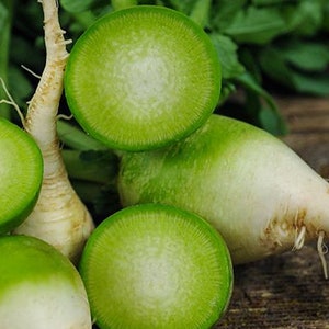 Puede incluir: Primer plano de rábanos verdes con raíces blancas. Los rábanos están cortados por la mitad, revelando su carne verde.