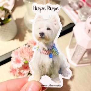 AANGEPASTE huisdier foto sticker l waterdichte huisdier cadeau waterfles laptop hondenliefhebber bruiloft kerst Instagram kat
