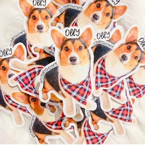 BENUTZERDEFINIERTER Haustier-Fotoaufkleber, Hundefotoaufkleber, wasserfester Haustieraufkleber, individuelles Haustiergeschenk, Geschenk für Hundemama, Geschenk für Katzenmama, Katzenfotoaufkleber