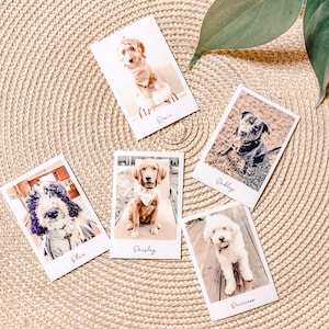 Personalisierter Polaroid Style Haustier Sticker l WasserfestEr Hunde geschenk