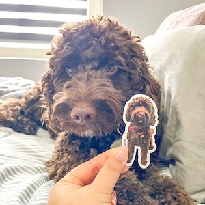BENUTZERDEFINIERTER Haustier-Fotoaufkleber, Hundefotoaufkleber, wasserfester Haustieraufkleber, individuelles Haustier-Hochzeitsgeschenk, Geschenk für Katzenmama, Katzenfotoaufkleber