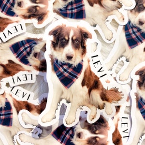 BENUTZERDEFINIERTER Haustier-Fotoaufkleber, Hundefotoaufkleber, wasserfester Haustieraufkleber, individuelles Haustiergeschenk, Geschenk für Hundemama, Geschenk für Katzenmama, Katzenfotoaufkleber