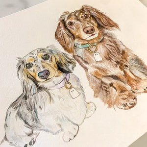 Ritratto personalizzato di un animale domestico ad acquerello, ritratto di un cane dipinto a mano, regalo per la perdita di un animale domestico, regalo commemorativo per un animale domestico, ritratto di un cane personalizzato, regalo per mamma di un cane, arte per cani
