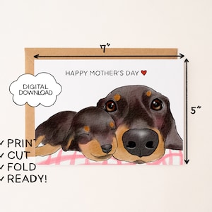 Amazing Happy Mothers Day Dachshund Moment Nature Amazing Happy Mothers Day Dachshund Moment Nature